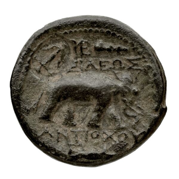 реверс Seleucid Coins (part 1) 339.4