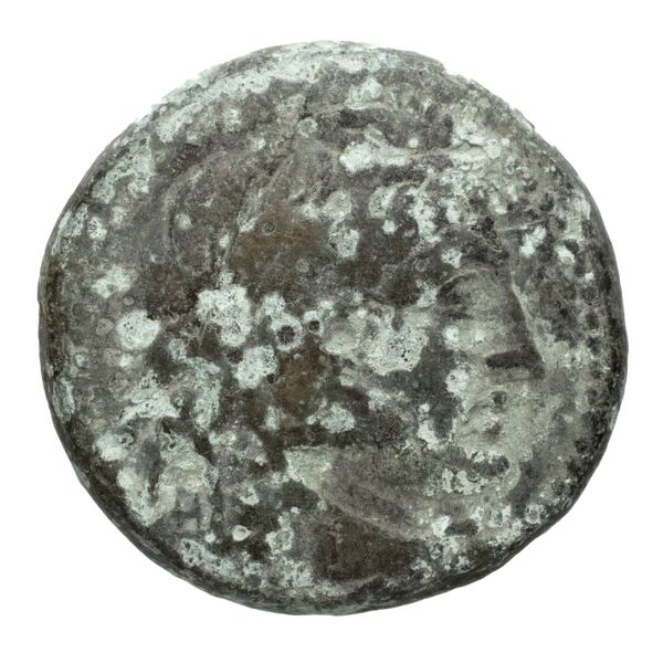 Coins of the Ptolemaic Empire Vol. I, Part II, no. B369, obverse, bnf-hrc