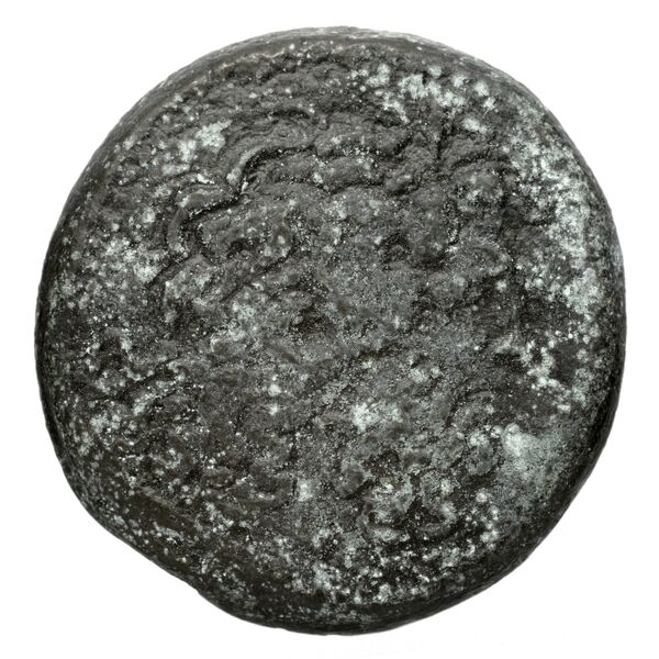 Coins of the Ptolemaic Empire Vol. I, Part II, no. B362, obverse, bnf-hrc