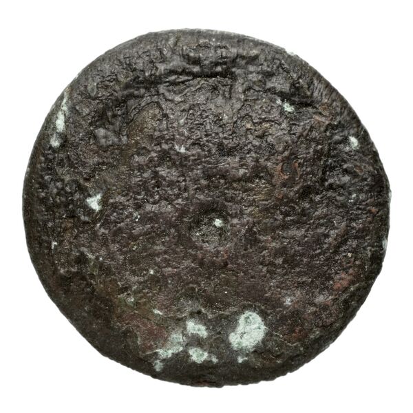 Coins of the Ptolemaic Empire Vol. I, Part II, no. B226, аверс, bnf-hrc