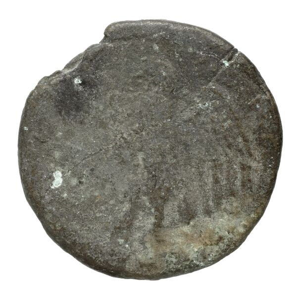Coins of the Ptolemaic Empire Vol. I, Part II, no. B23, реверс, bnf-hrc