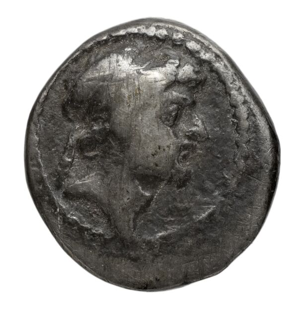 аверс Seleucid Coins (part 2) 2423