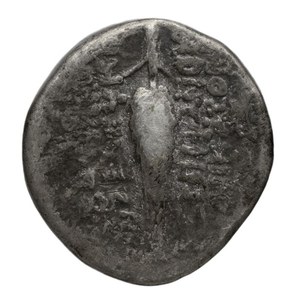 реверс Seleucid Coins (part 2) 2423