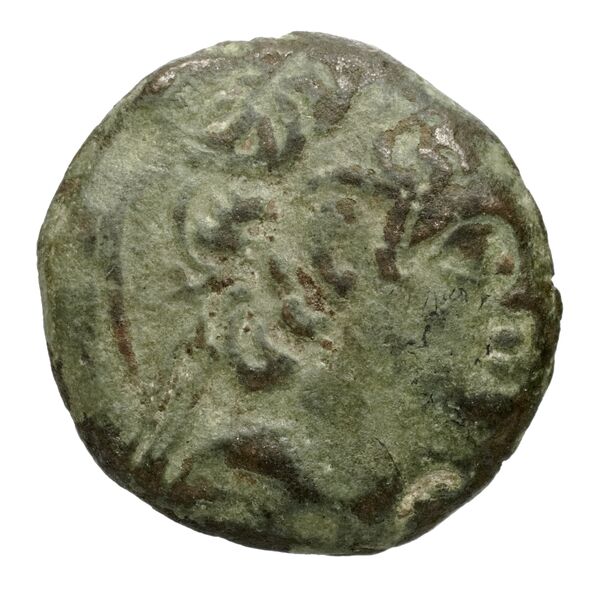 Seleucid Coins (part 2) 2477, аверс, bnf-hrc