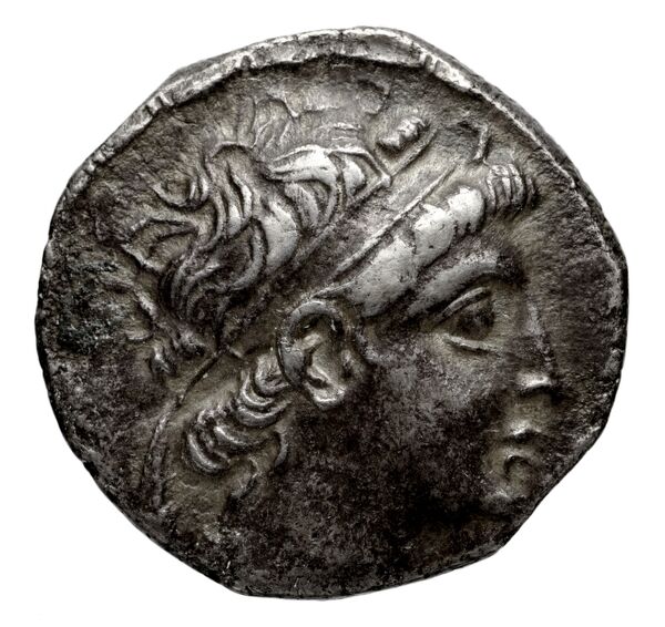 obverse Seleucid Coins (part 2) 1984.3