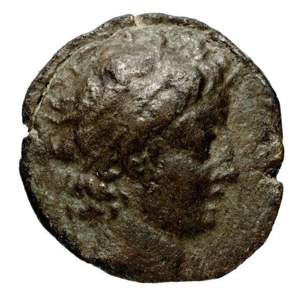 Seleucid Coins (part 2) 1928a, аверс, bnf-hrc