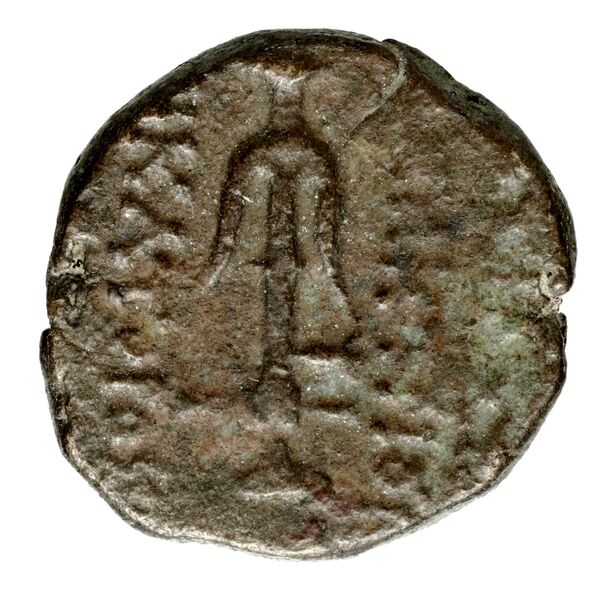 Seleucid Coins (part 2) 1928a, реверс, bnf-hrc