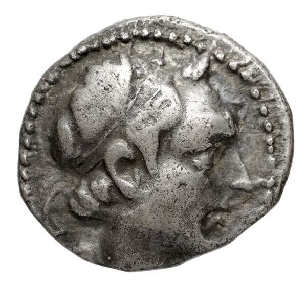 аверс Seleucid Coins (part 1) 1236.6f