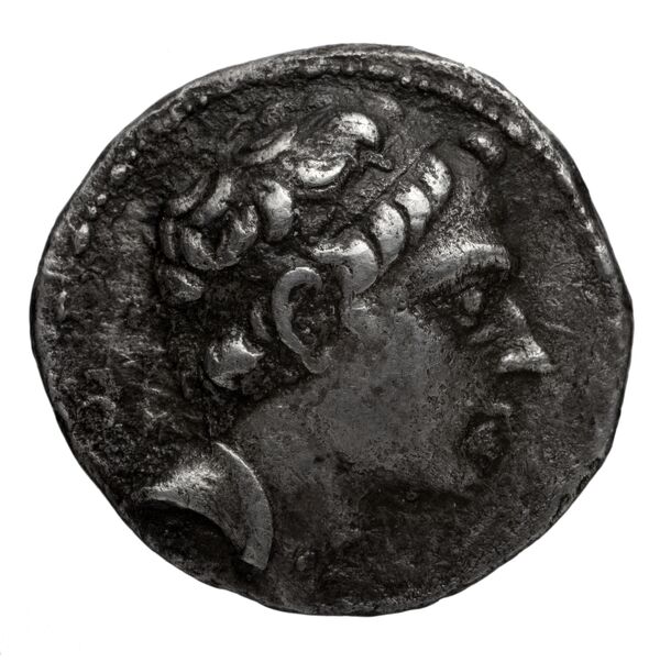аверс Seleucid Coins (part 1) 1214.1