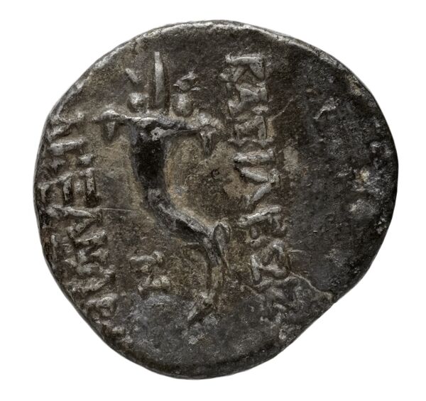 реверс Seleucid Coins (part 2) 2225