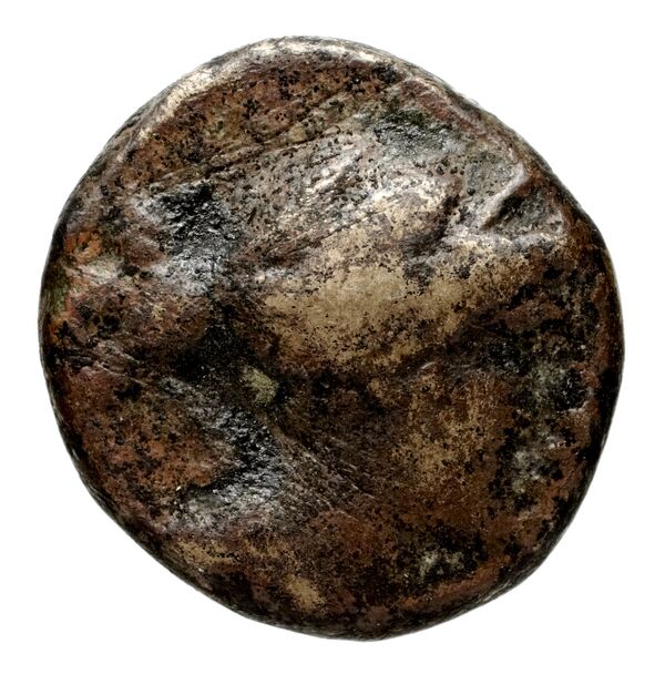 Seleucid Coins (part 1) 922, аверс, bnf-hrc