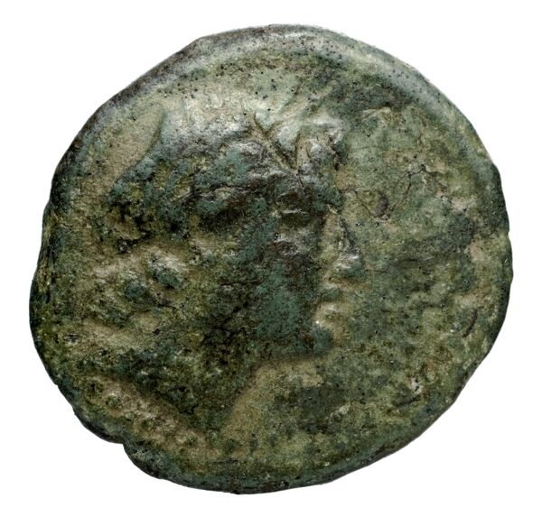 Seleucid Coins (part 1) 971, аверс, bnf-hrc