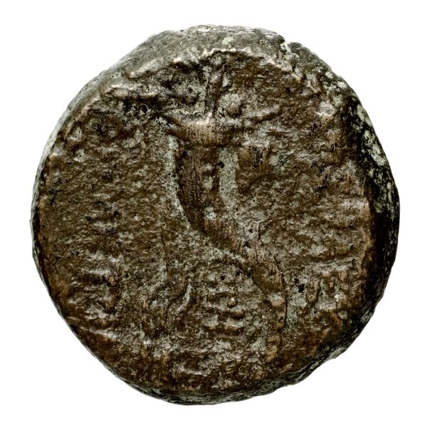 реверс Seleucid Coins (part 2) 1921b