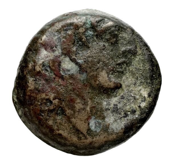 аверс Seleucid Coins (part 2) 2307.1