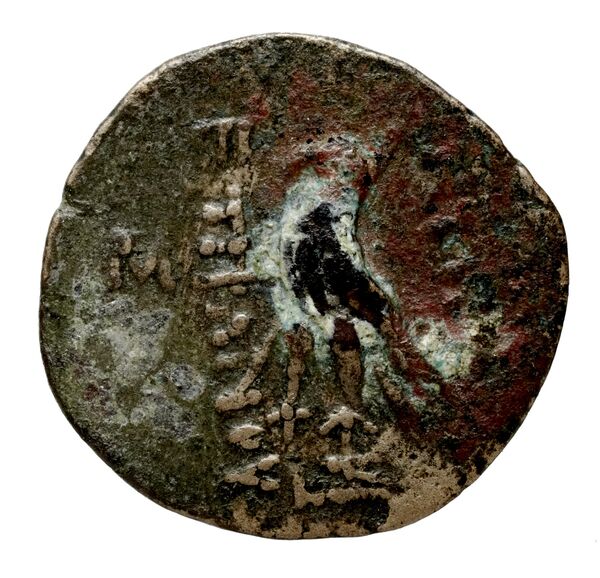 реверс Seleucid Coins (part 2) 2307.1