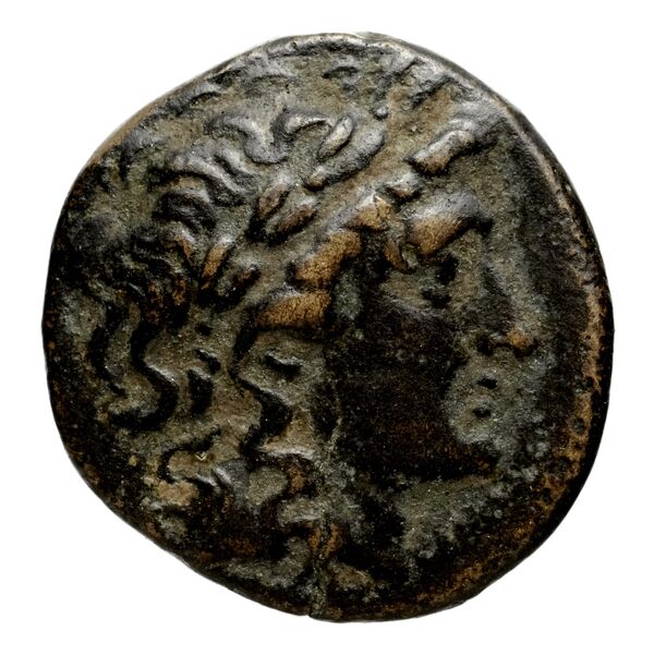 Seleucid Coins (part 1) 537, аверс, bnf-hrc