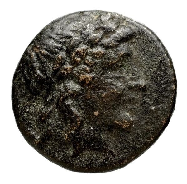 аверс Seleucid Coins (part 1) 524
