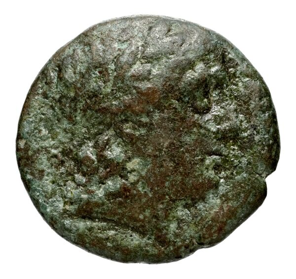 аверс Seleucid Coins (part 1) 526