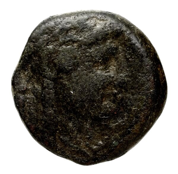 Seleucid Coins (part 1) 1185, аверс, bnf-hrc