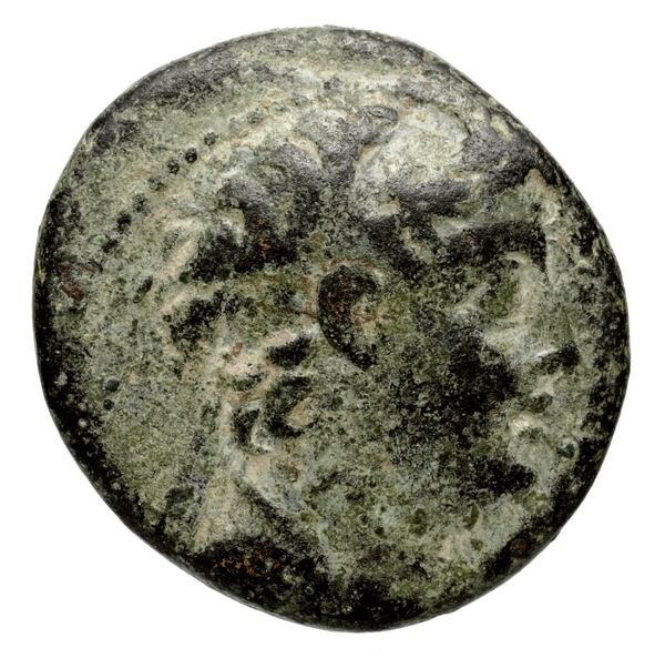 obverse Seleucid Coins (part 2) 2189.4