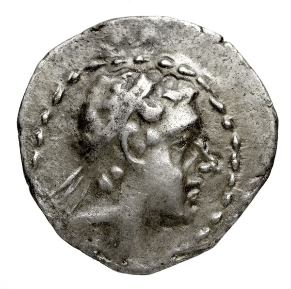 аверс Seleucid Coins (part 2) 1566