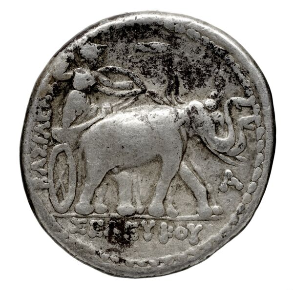 реверс Seleucid Coins (part 1) 177.3