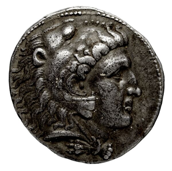 аверс Seleucid Coins (part 1) 204.6