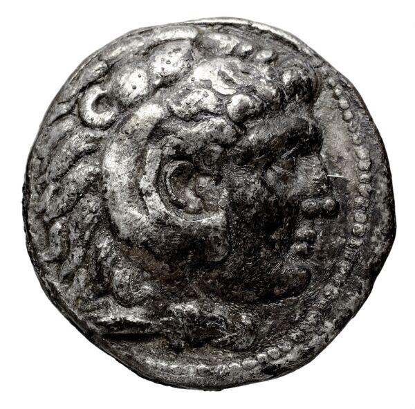 Seleucid Coins (part 1) 357.5, аверс, bnf-hrc