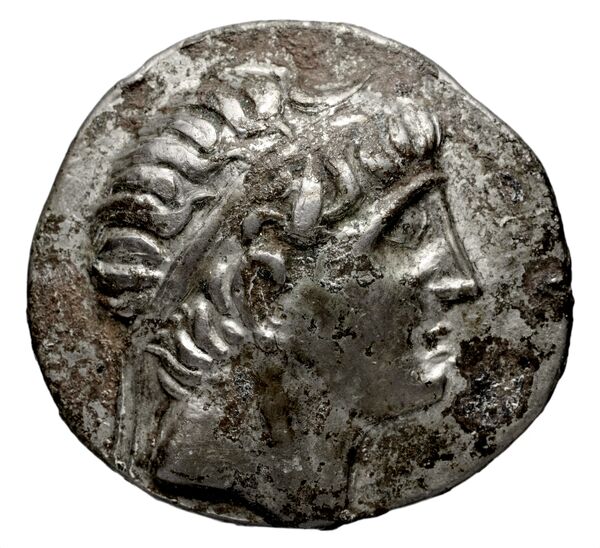 Seleucid Coins (part 1) 379.3c, аверс, bnf-hrc