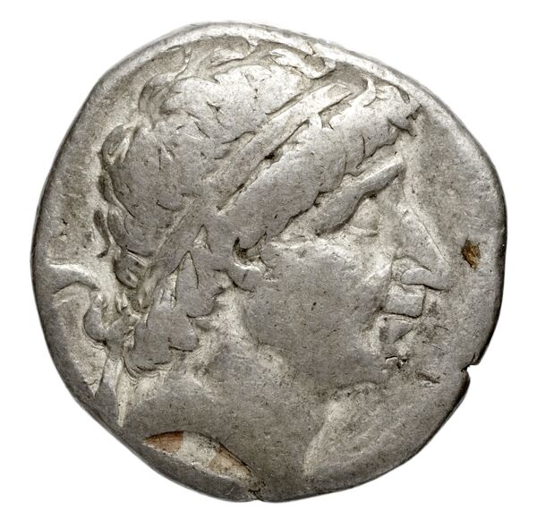аверс Seleucid Coins (part 1) 719
