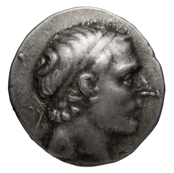 аверс Seleucid Coins (part 1) 1133.11