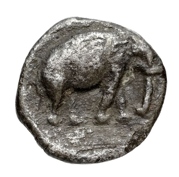 реверс Seleucid Coins (part 1) 1293