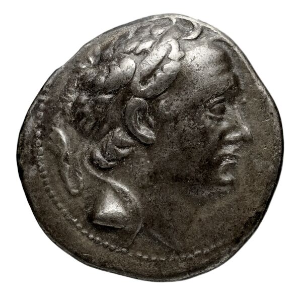 Seleucid Coins (part 2) 1314, аверс, bnf-hrc