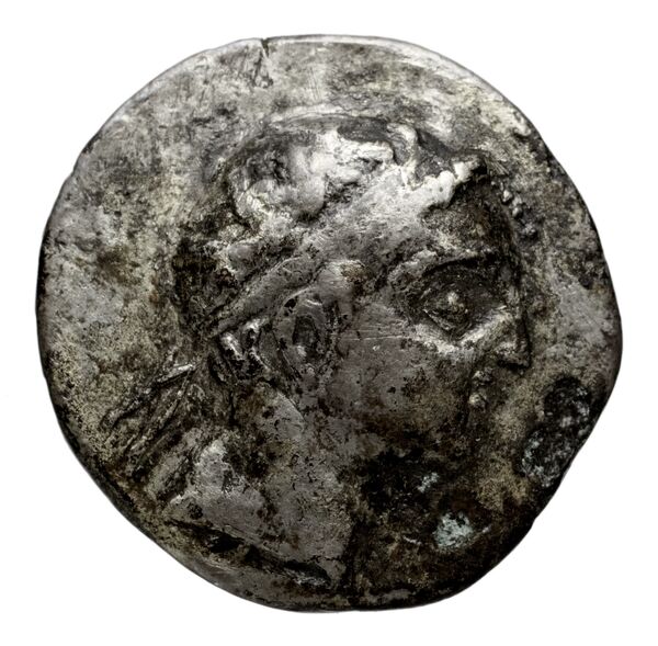 аверс Seleucid Coins (part 2) 1402.2