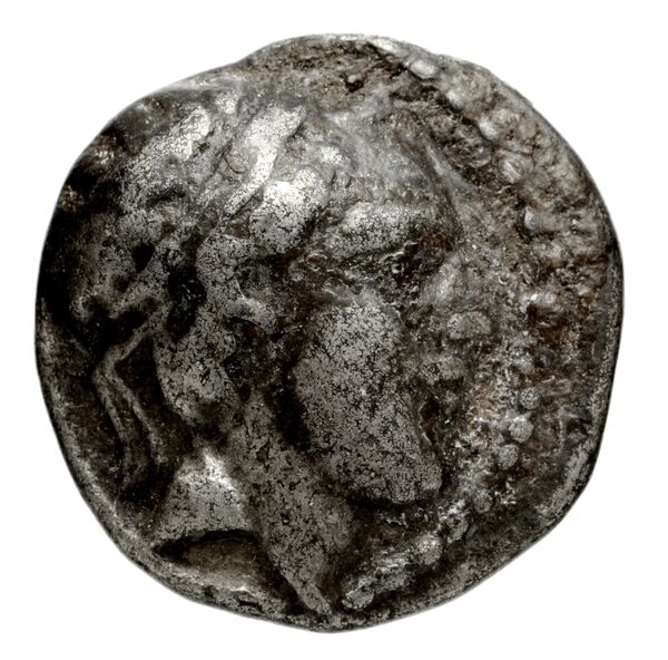 аверс Seleucid Coins (part 2) 1559