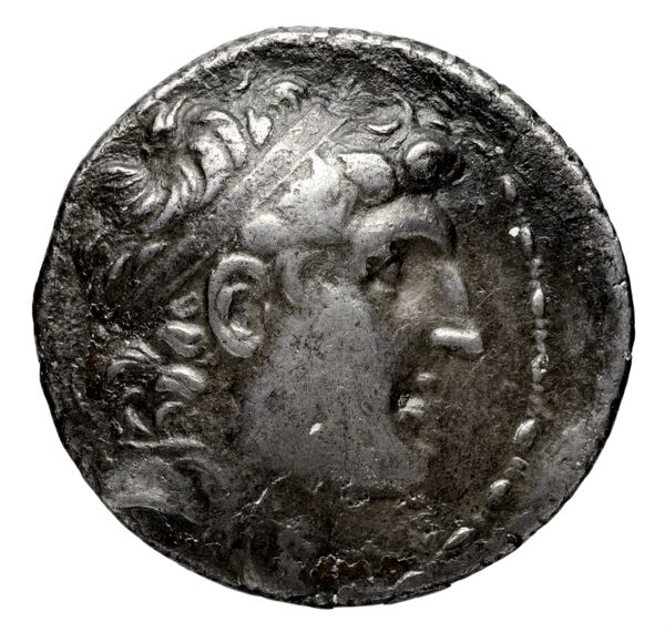 аверс Seleucid Coins (part 2) 1856