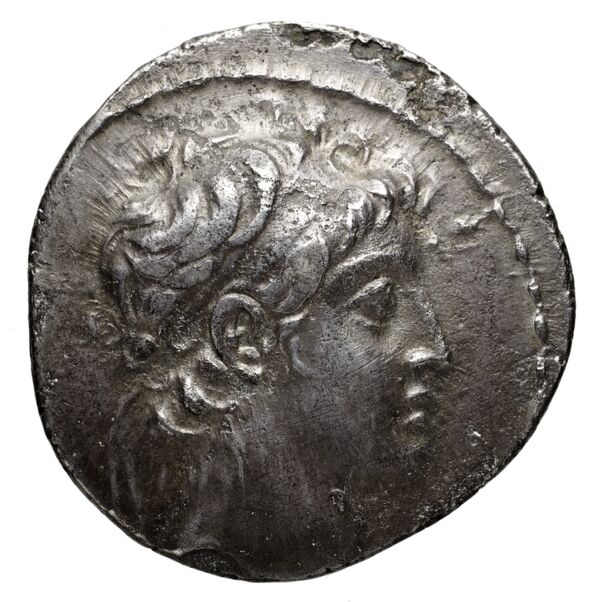obverse Seleucid Coins (part 2) 1984.1