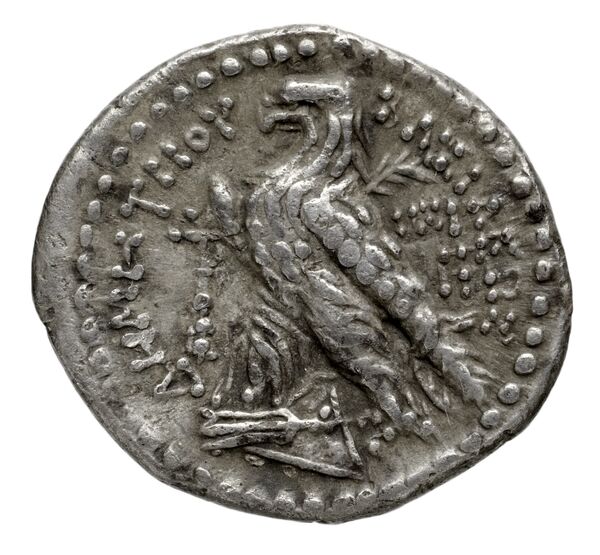 реверс Seleucid Coins (part 2) 1967.1