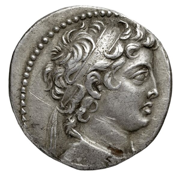 аверс Seleucid Coins (part 2) 1959.4c