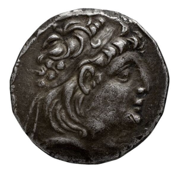 Seleucid Coins (part 2) 2150, аверс, bnf-hrc
