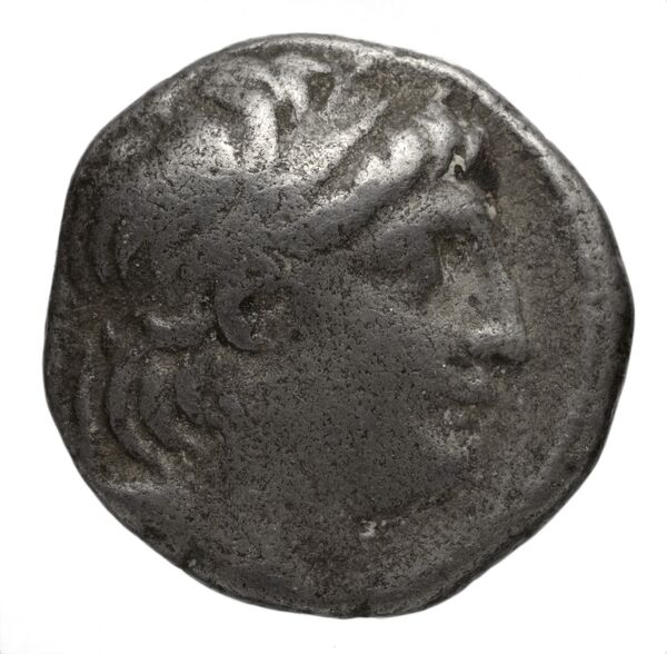 Seleucid Coins (part 2) 2055.7, аверс, bnf-hrc
