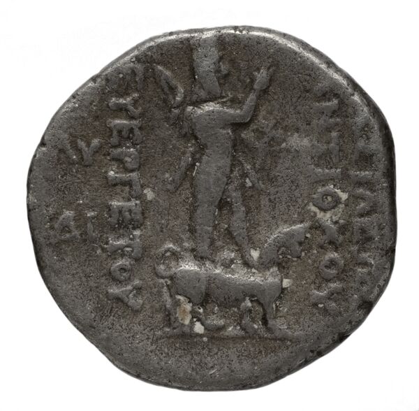 Seleucid Coins (part 2) 2055.7, реверс, bnf-hrc