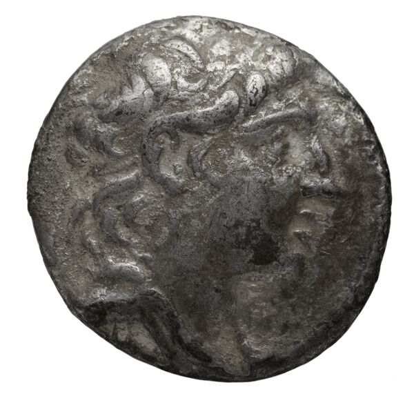 аверс Seleucid Coins (part 2) 2109.1