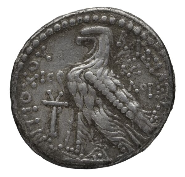 реверс Seleucid Coins (part 2) 2109.1