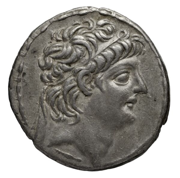 аверс Seleucid Coins (part 2) 2219.2g