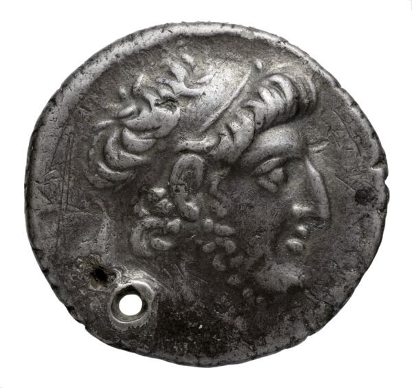 аверс Seleucid Coins (part 2) 2450.7