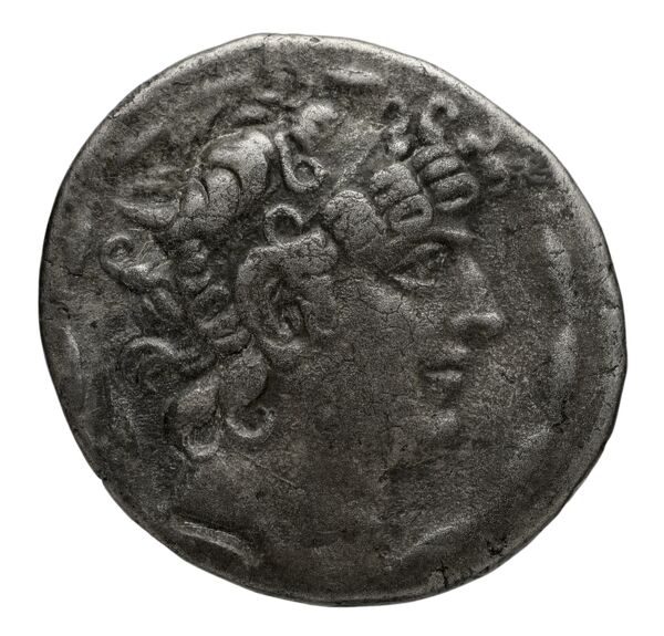 аверс Seleucid Coins (part 2) 2461.2