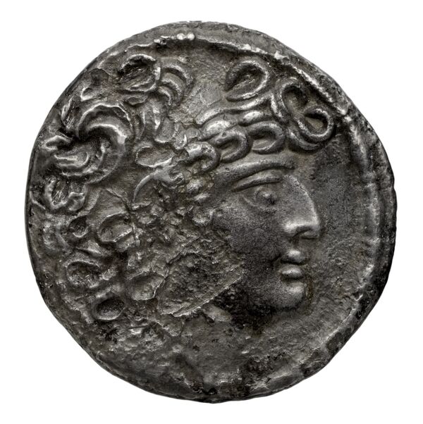 аверс Seleucid Coins (part 2) 2489.3