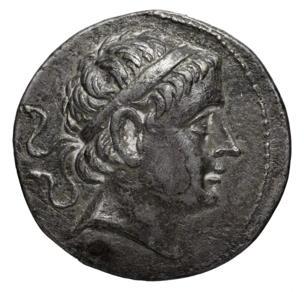 аверс Seleucid Coins (part 1) 1154.2