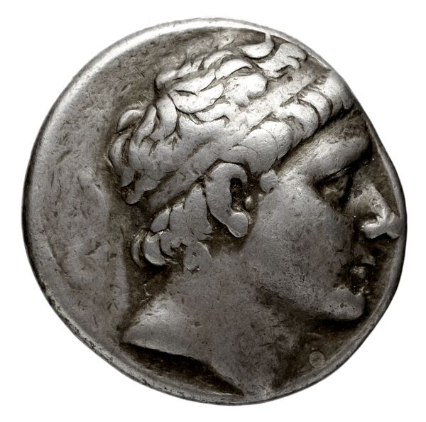 аверс Seleucid Coins (part 1) 561